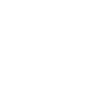 icon-white